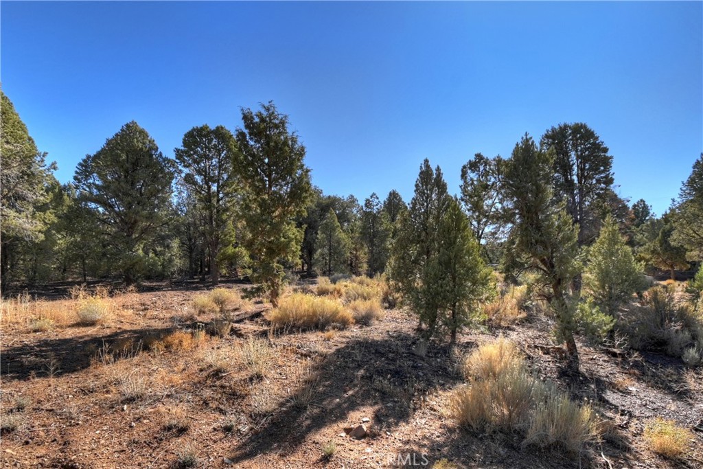 0 Minnow Property Photo 18