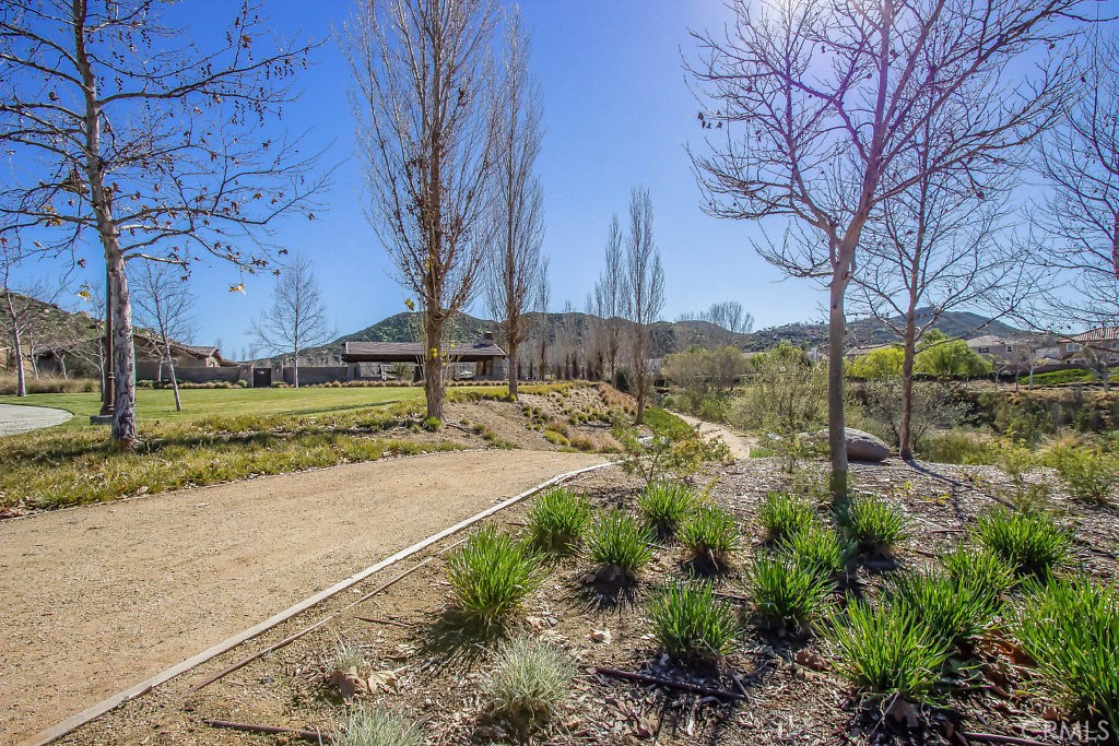 34267 Chaparossa Drive Property Photo 49