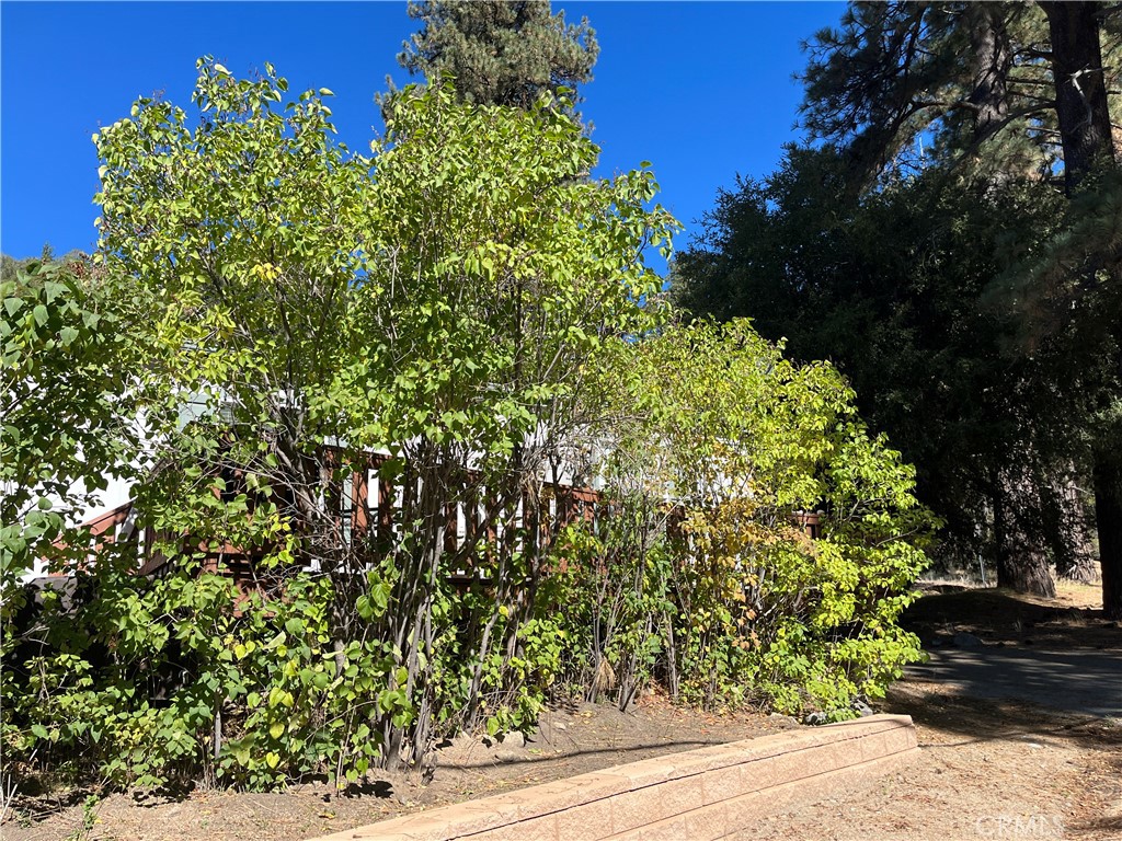 39950 7 Oaks 41 Property Photo 4