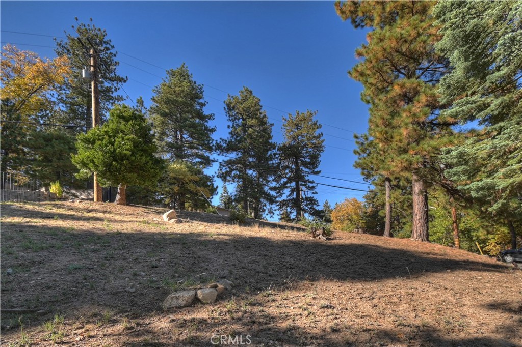31162 All View Property Photo 5