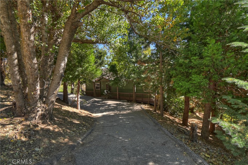 23903 Skyland Drive Property Photo 6