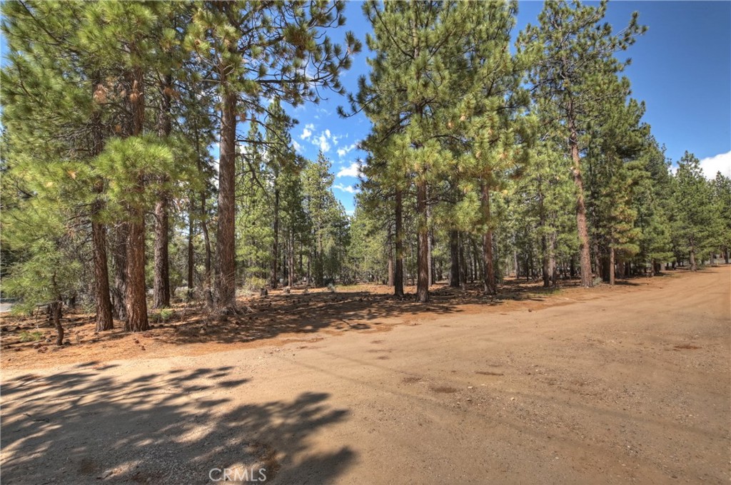 2001 State Lane Property Photo 10