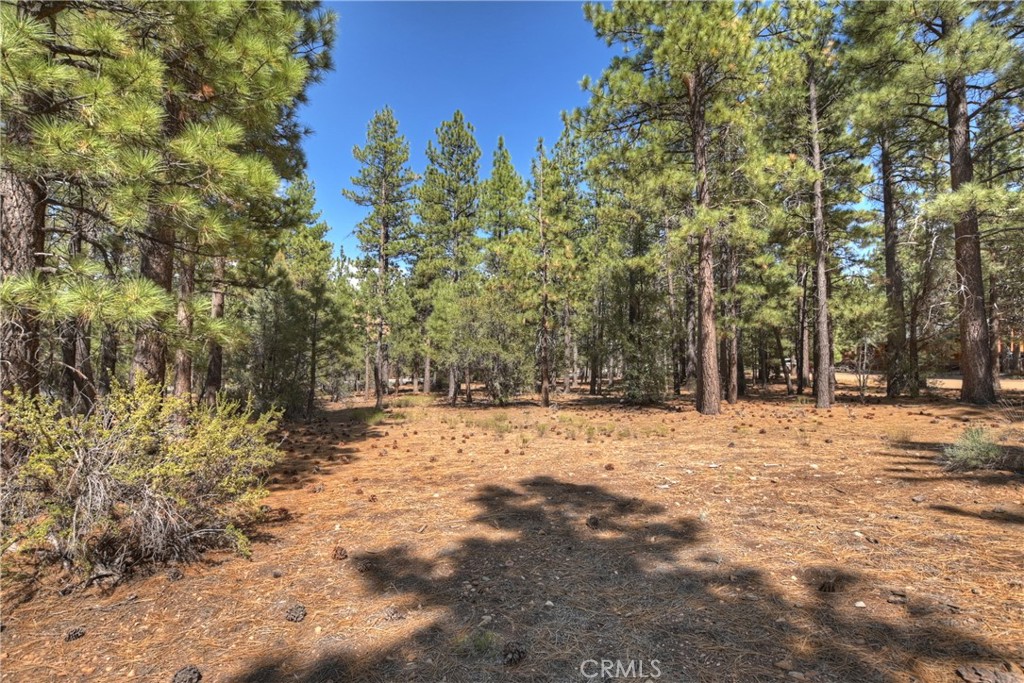2001 State Lane Property Photo 11