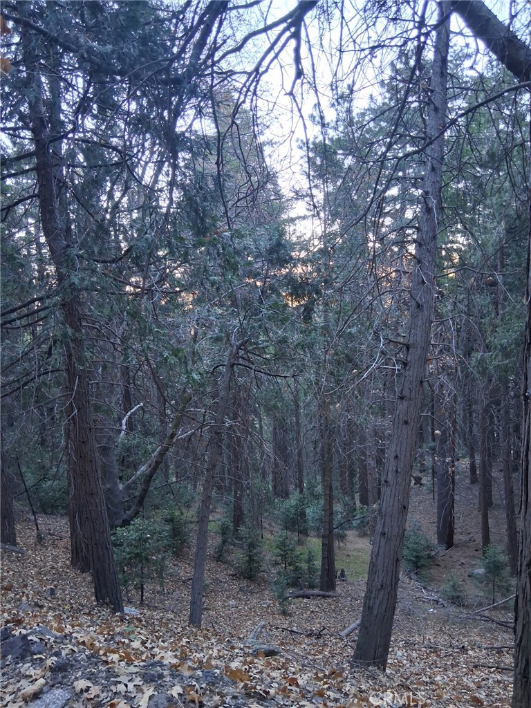 0 Reservoir Property Photo 1