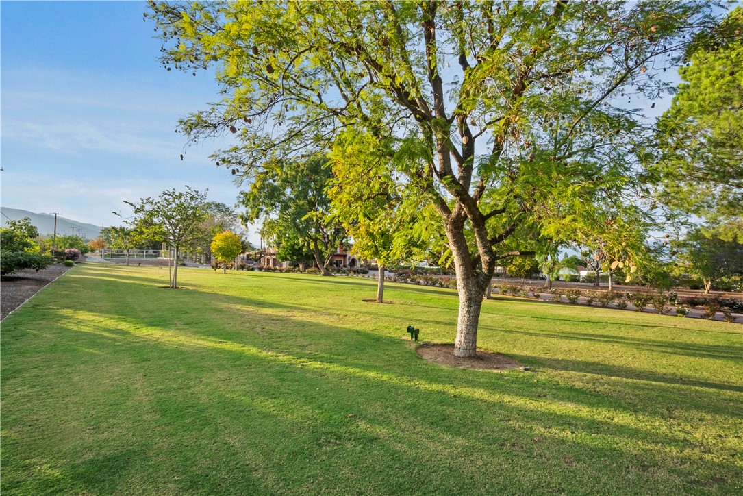 4050 Lester Property Photo 6