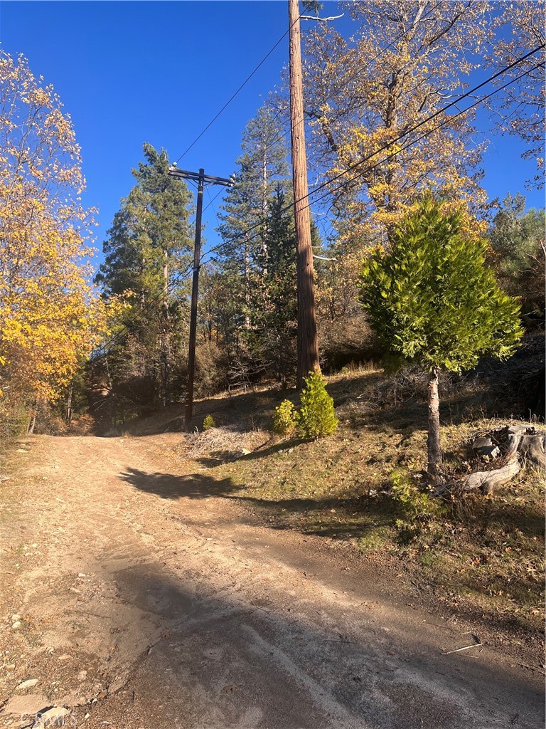29834 Juniper Drive Property Photo 1