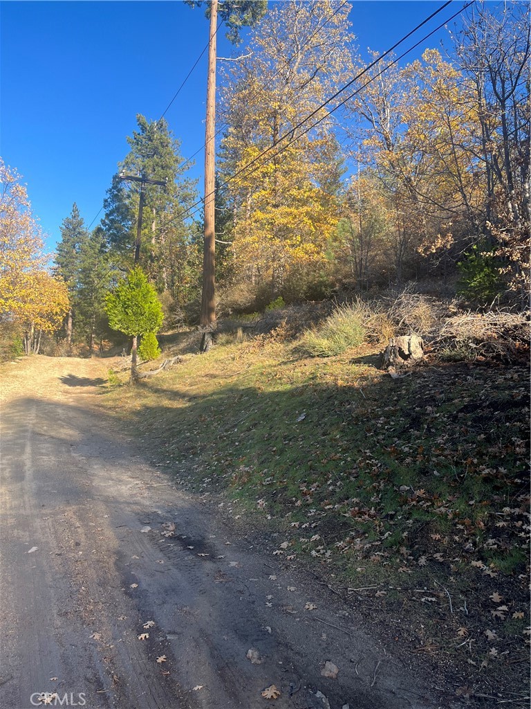 29834 Juniper Drive Property Photo 2