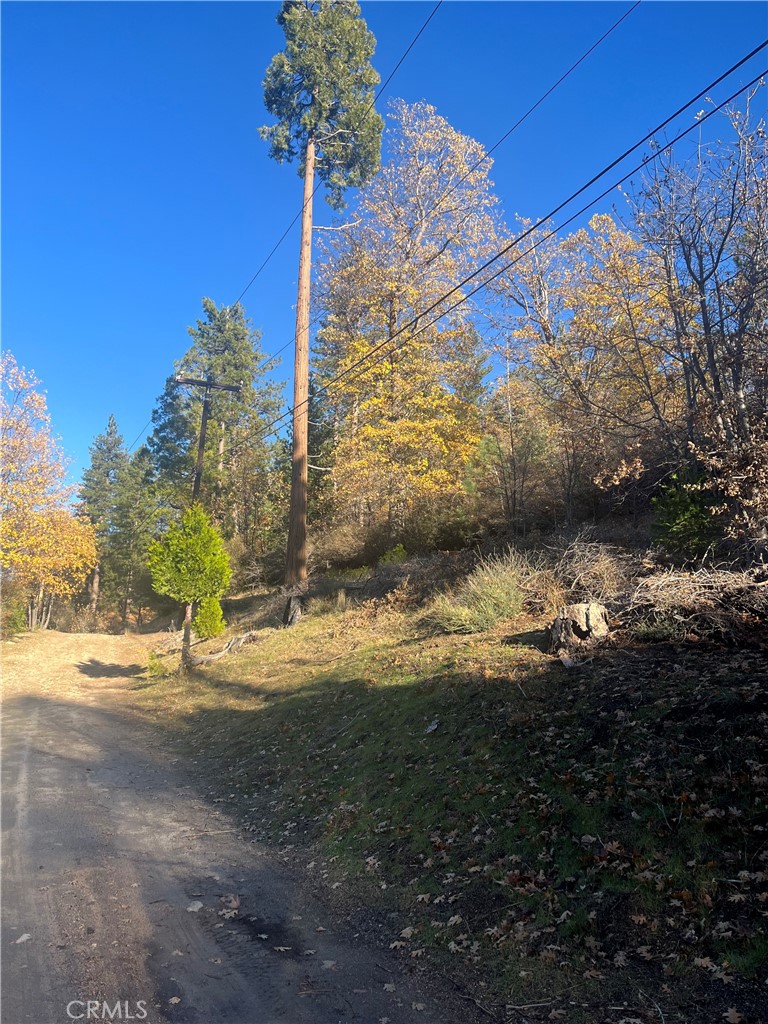 29834 Juniper Drive Property Photo 3