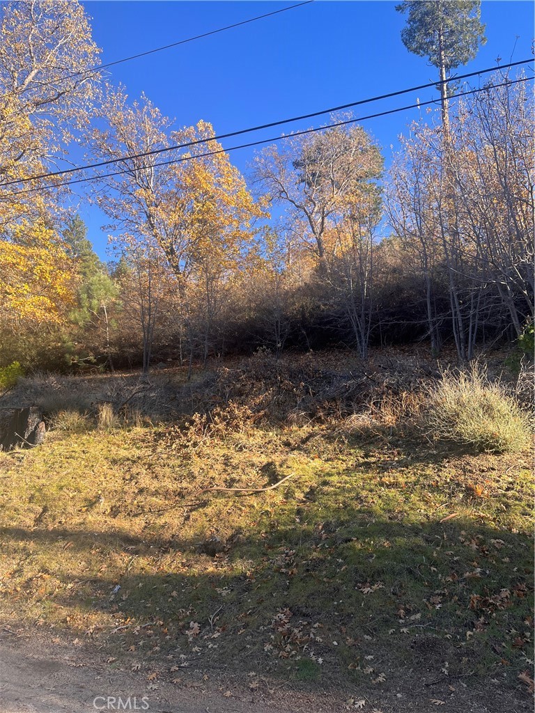 29834 Juniper Drive Property Photo 4