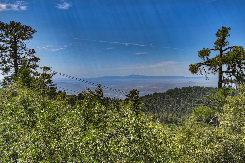 25515 True Property Photo 1