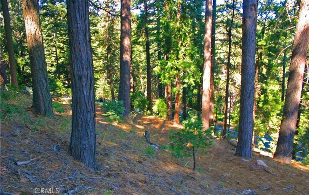 525 Ca-173 Property Photo 9
