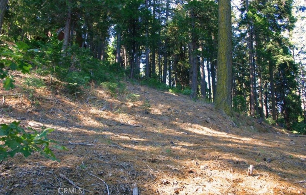 525 Ca-173 Property Photo 14