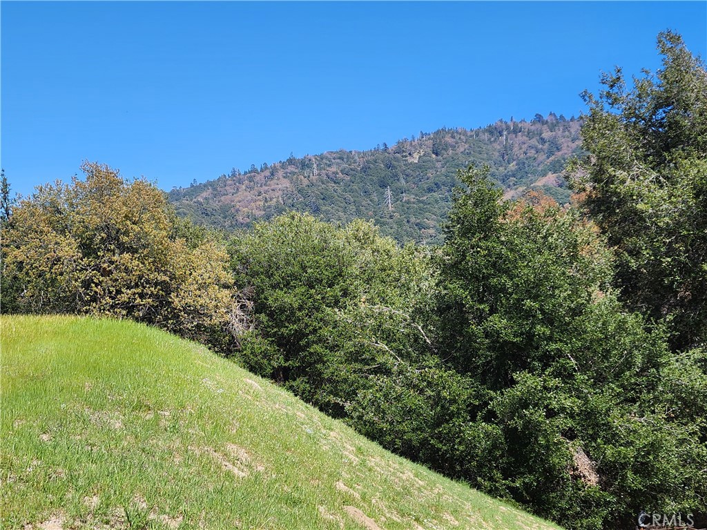 327 Davos Drive Property Photo 1