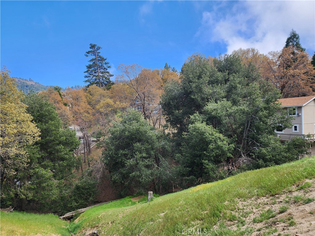 327 Davos Drive Property Photo 3