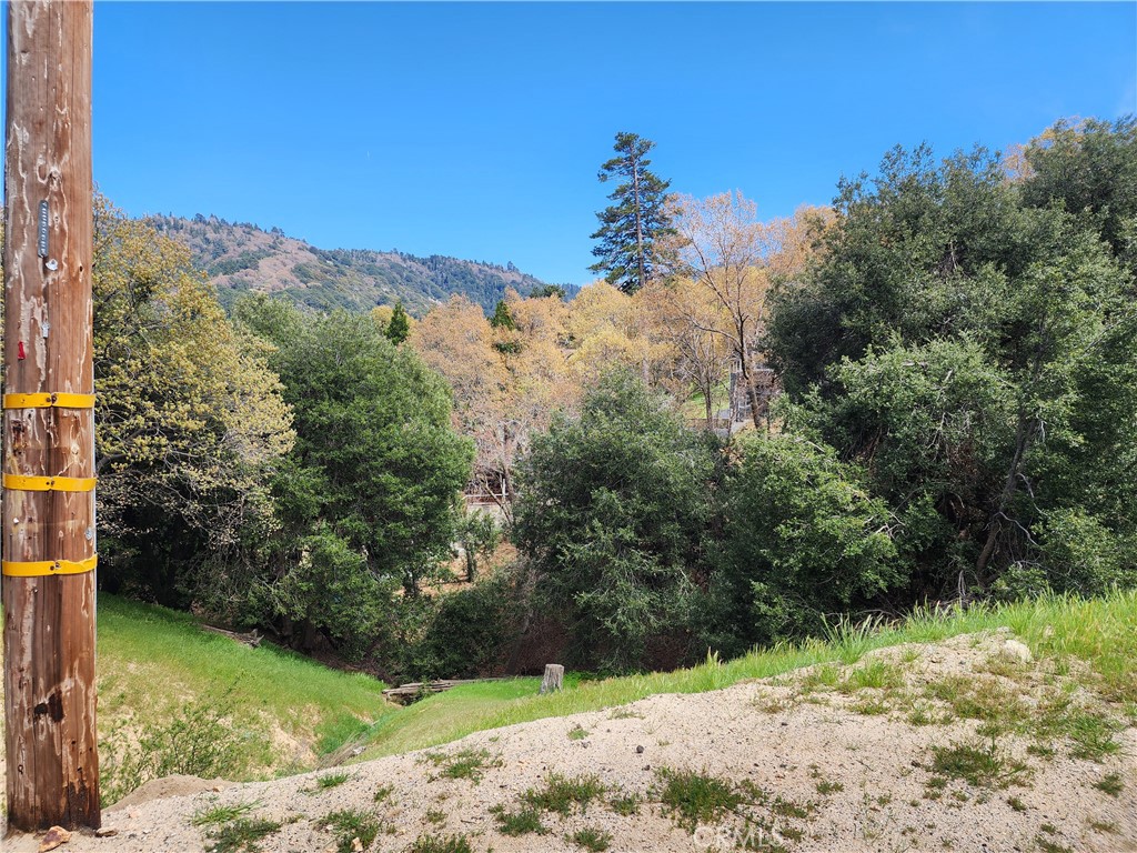 327 Davos Drive Property Photo 11
