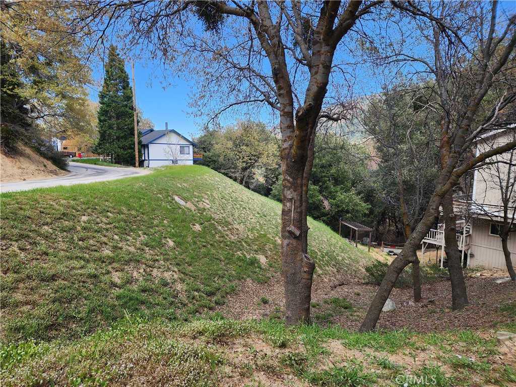 327 Davos Drive Property Photo 12