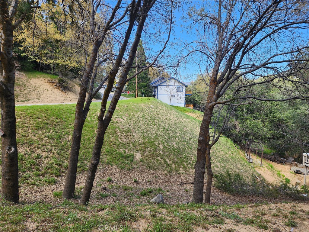 327 Davos Drive Property Photo 15