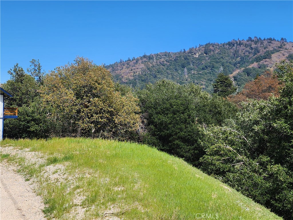 327 Davos Drive Property Photo 20