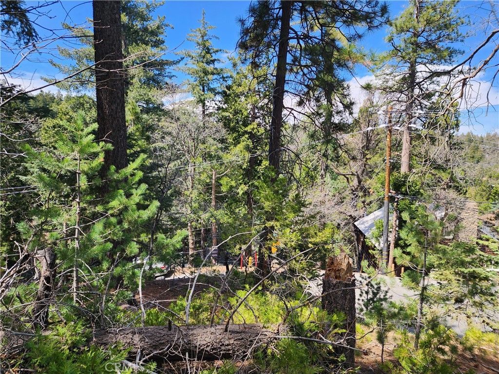 586 Rose Property Photo 3