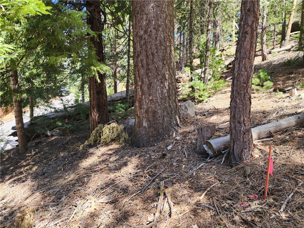 586 Rose Property Photo 19