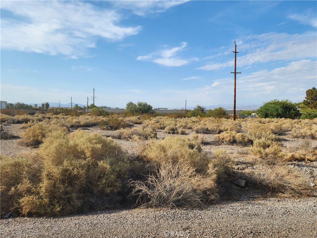 1302 Wilson Drive Property Photo 10