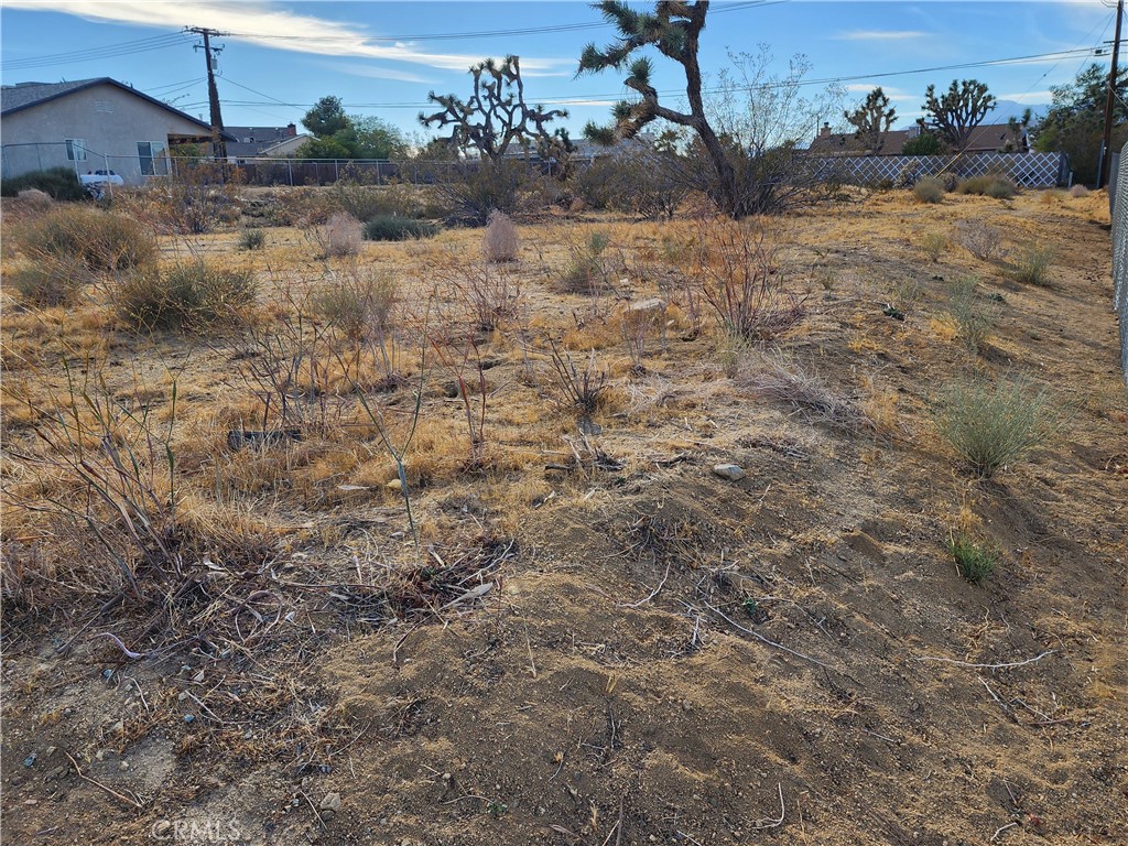 7022 Avalon Avenue Property Photo 11