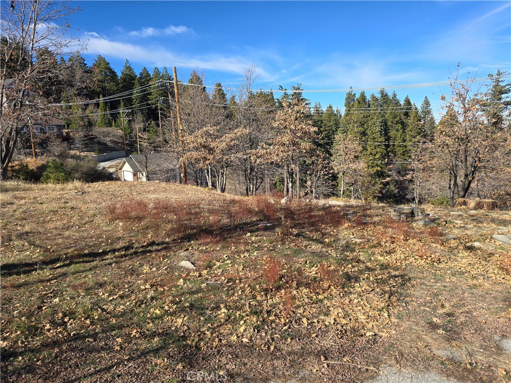 2350 Deep Creek Property Photo 2