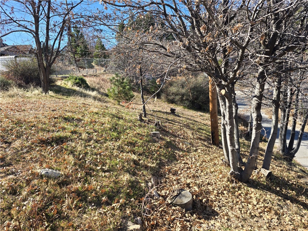 2350 Deep Creek Property Photo 3
