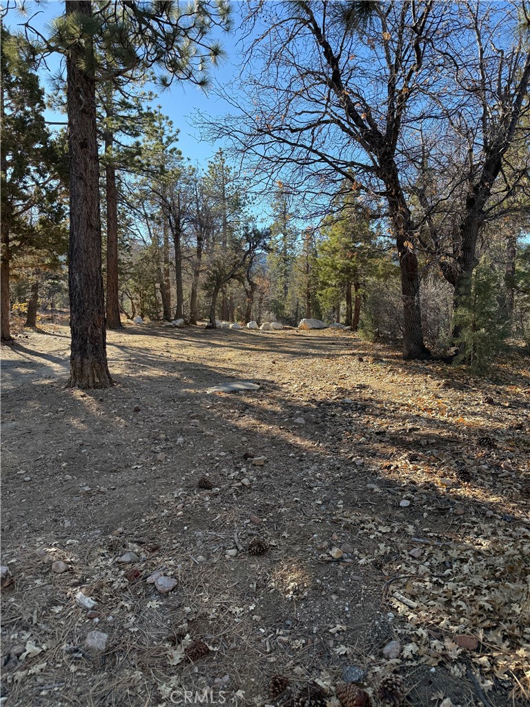 0 San Bernardino Property Photo 6