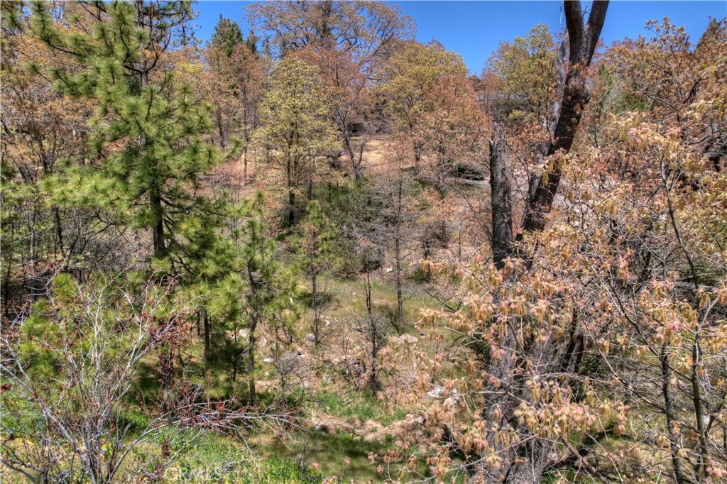 27998 W Shore Road Property Photo 6
