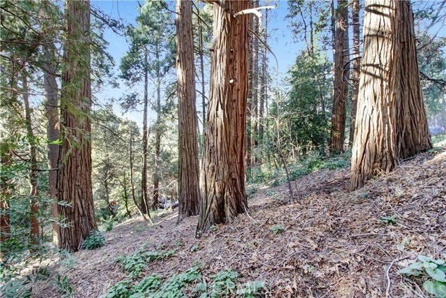 2662 Scenic Property Photo 1