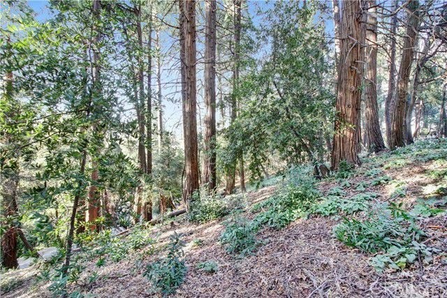 2662 Scenic Property Photo 4