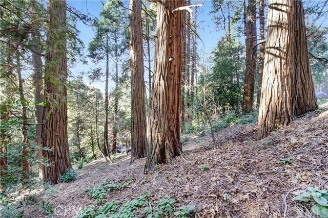 2661 Scenic Property Photo 3