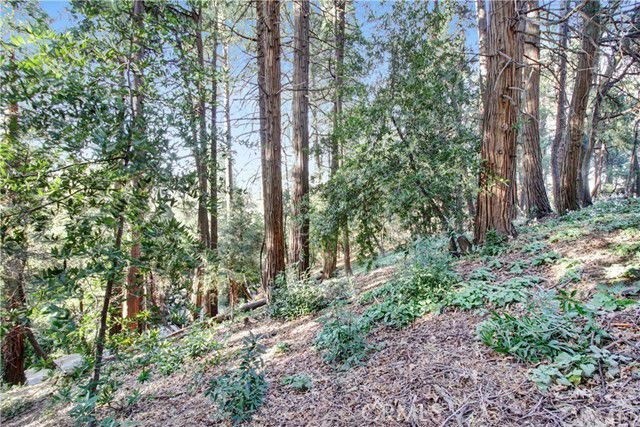 2661 Scenic Property Photo 4