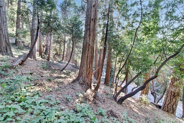 2661 Scenic Property Photo 7