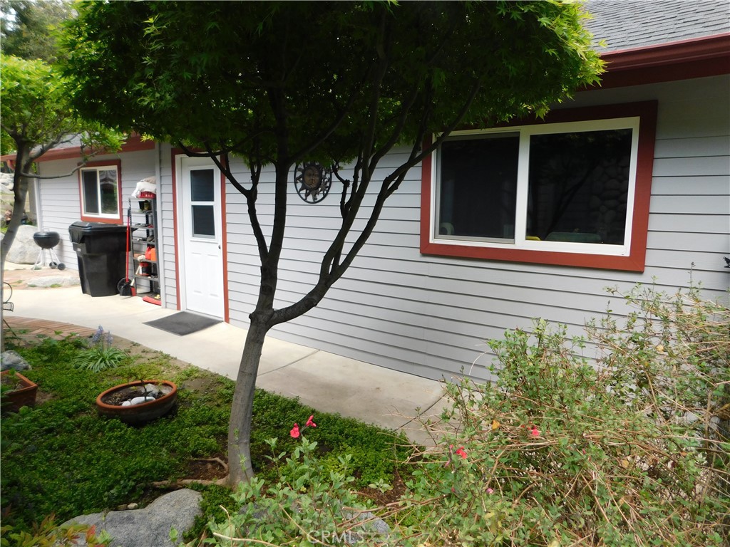 36976 Sycamore Drive Property Photo 11