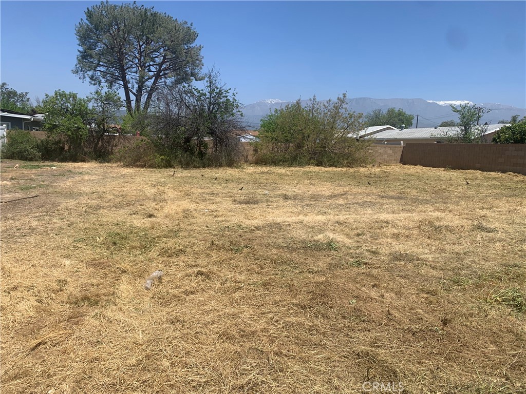38800 Florence Property Photo 1