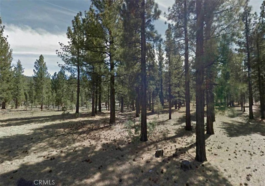 0 Lot 59 Avenue E Property Photo 3