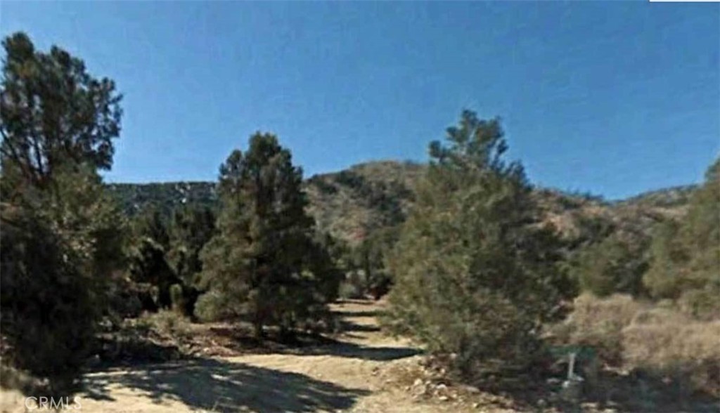 0 Lot 59 Avenue E Property Photo 4