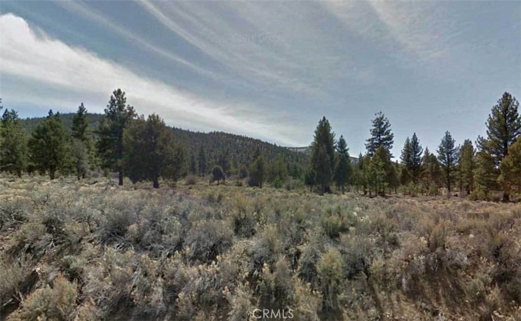 0 Lot 59 Avenue E Property Photo 5