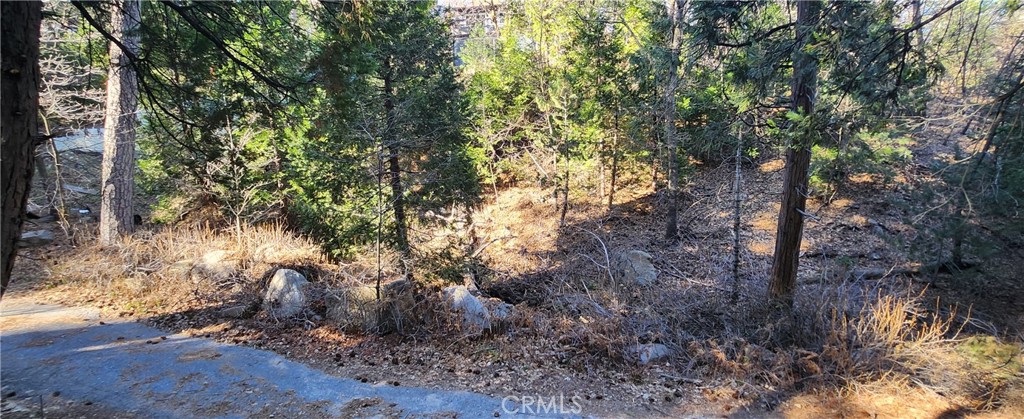0 Meadow Drive Property Photo 1