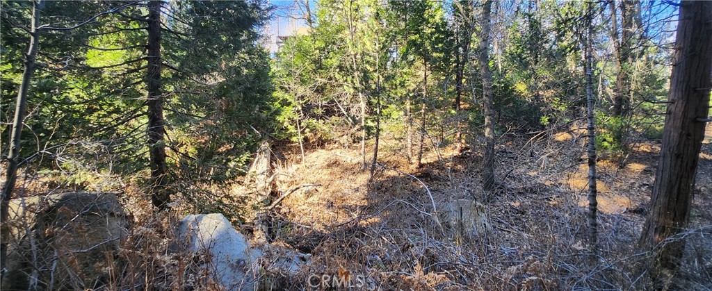 0 Meadow Drive Property Photo 4