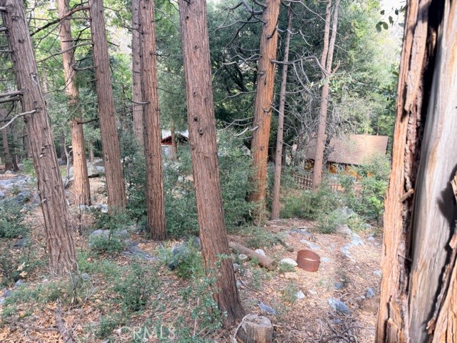 40904 Spruce Property Photo 2