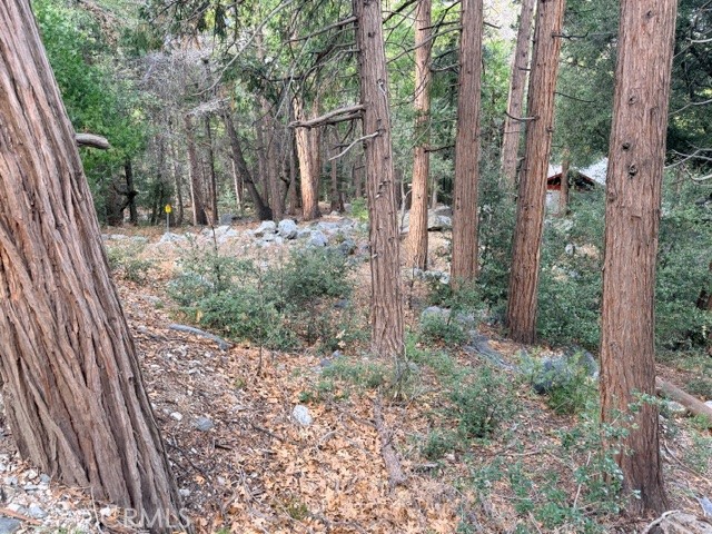 40904 Spruce Property Photo 3