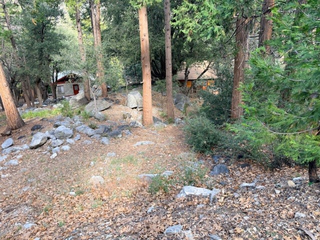40904 Spruce Property Photo 4