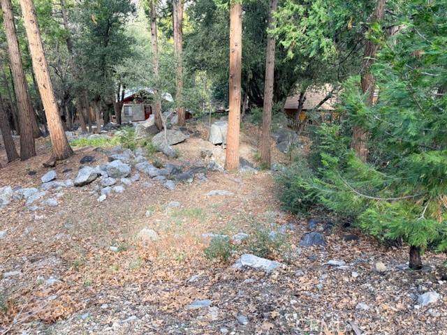 40904 Spruce Property Photo 5