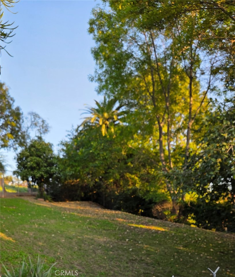 16060 Las Vecinas Drive Property Photo 23