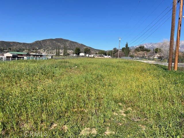 39068 Vineland Property Photo 1