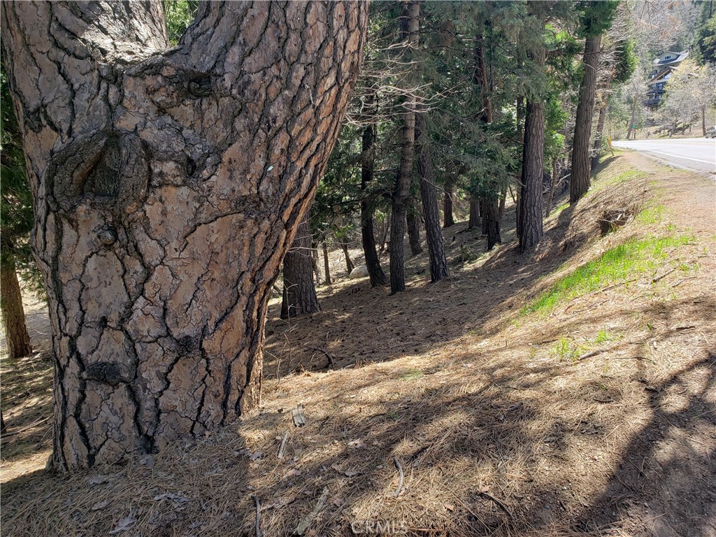 24155 San Moritz Drive Property Photo 7