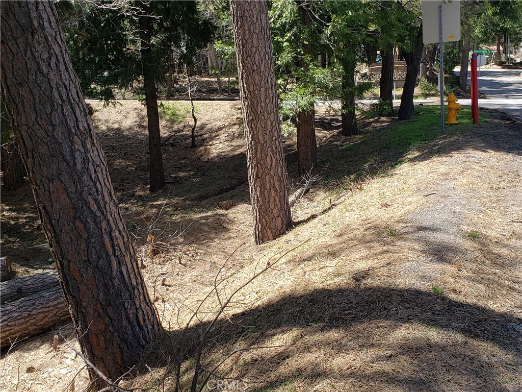 24155 San Moritz Drive Property Photo 8